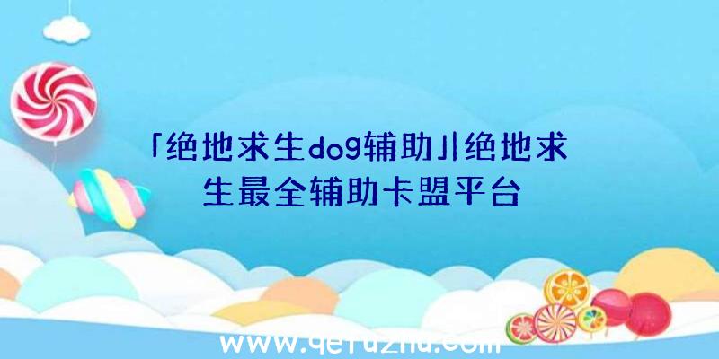 「绝地求生dog辅助」|绝地求生最全辅助卡盟平台